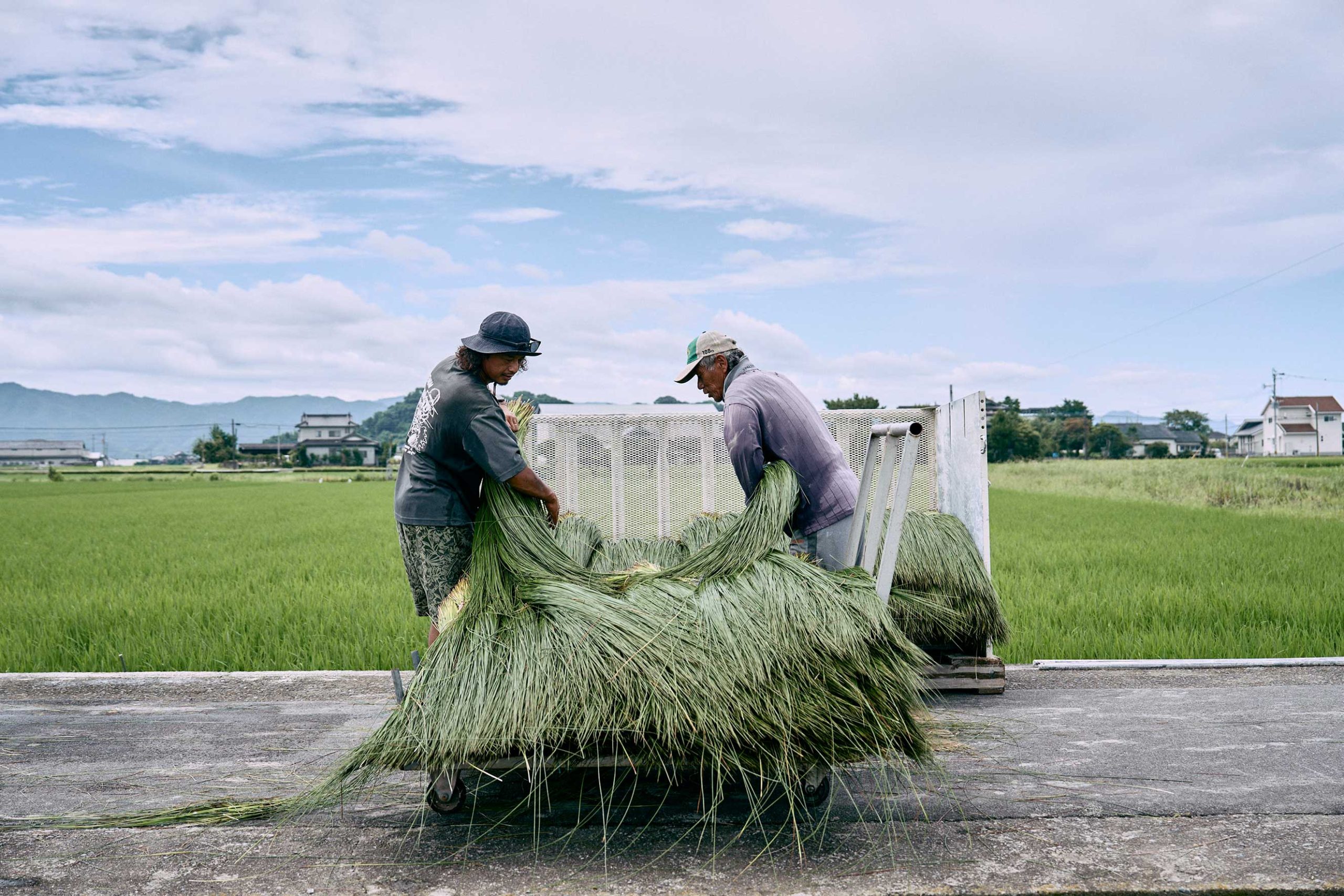 The story of Look into Nature