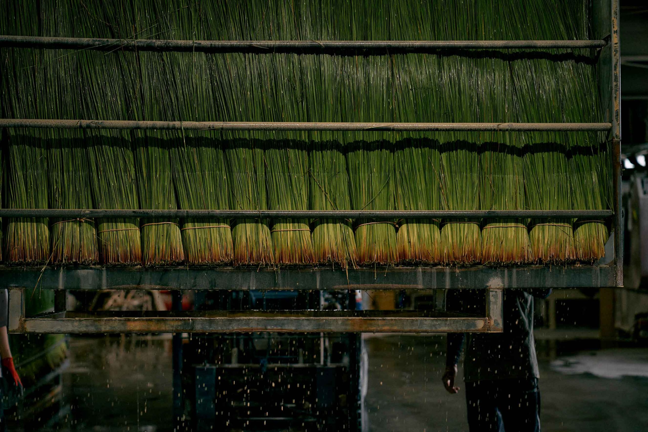 June 2024: meet the novelties